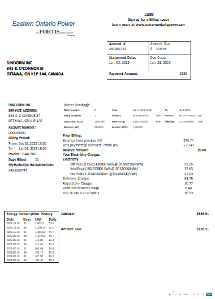 Download Eastern Ontario Power utility business bill, SCR Photoshop template